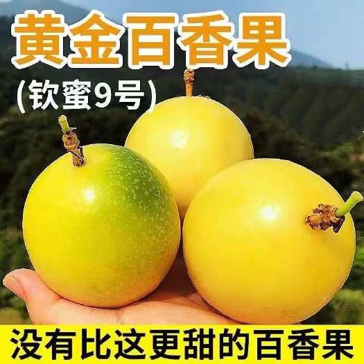 寻乌县黄金钦密9号纯甜百香果