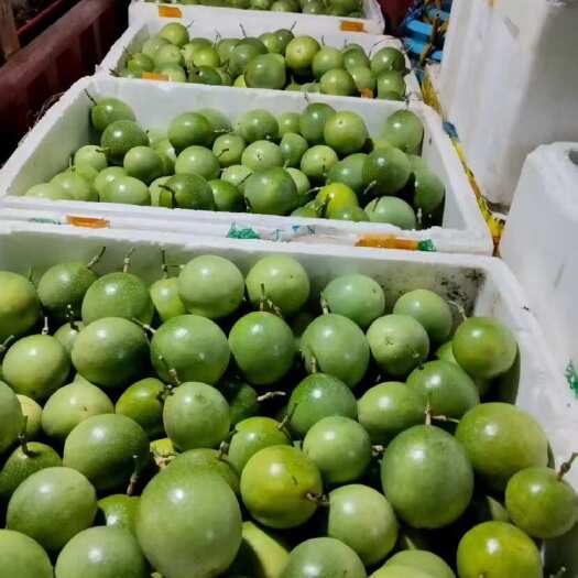 贵州黄金钦蜜9号纯甜百香果海拔几千米高基地直供