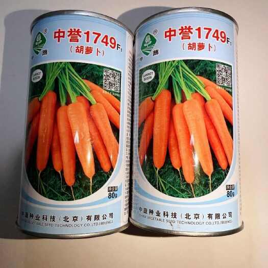 沭阳县中誉1749杂交胡萝卜种子中蔬耐热1504三红桔红春秋胡萝种