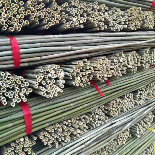 2.5米50根菜架竹 豆角架 西紅柿  茄子 黃瓜專用竹竿