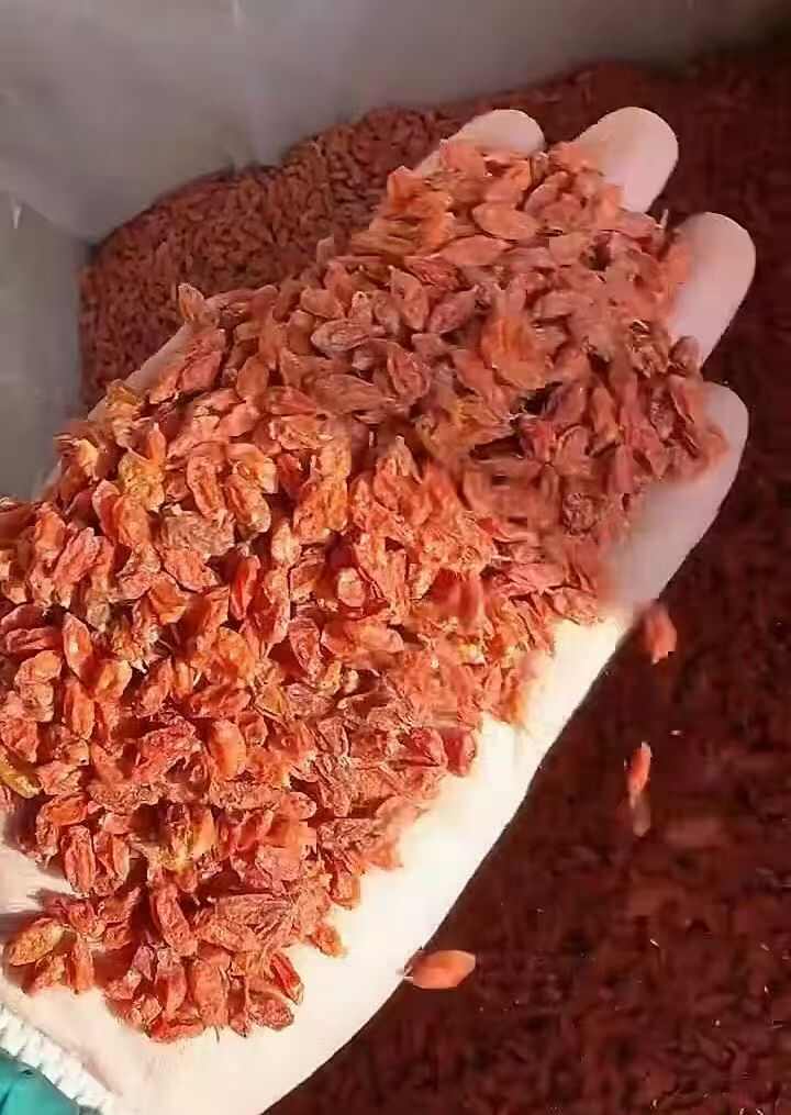 沙棘干果 精品选货 。
