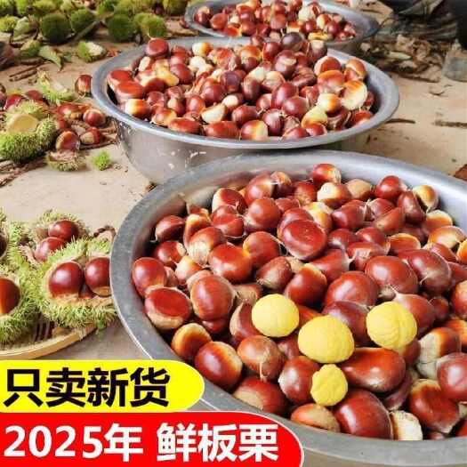 昆明板栗新鲜板栗生栗子野生板栗非油栗批发价