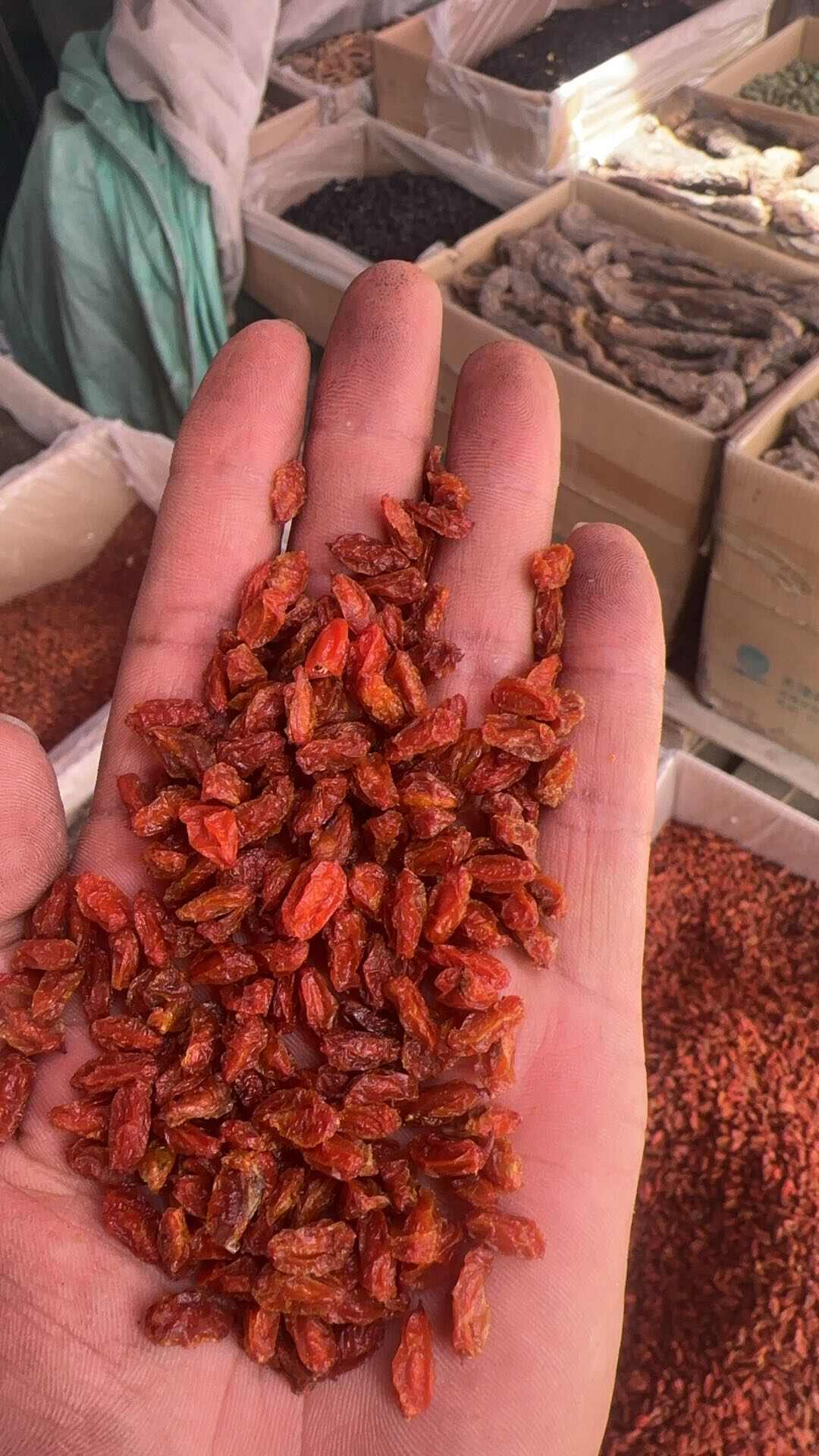 沙棘干果 精品选货 。