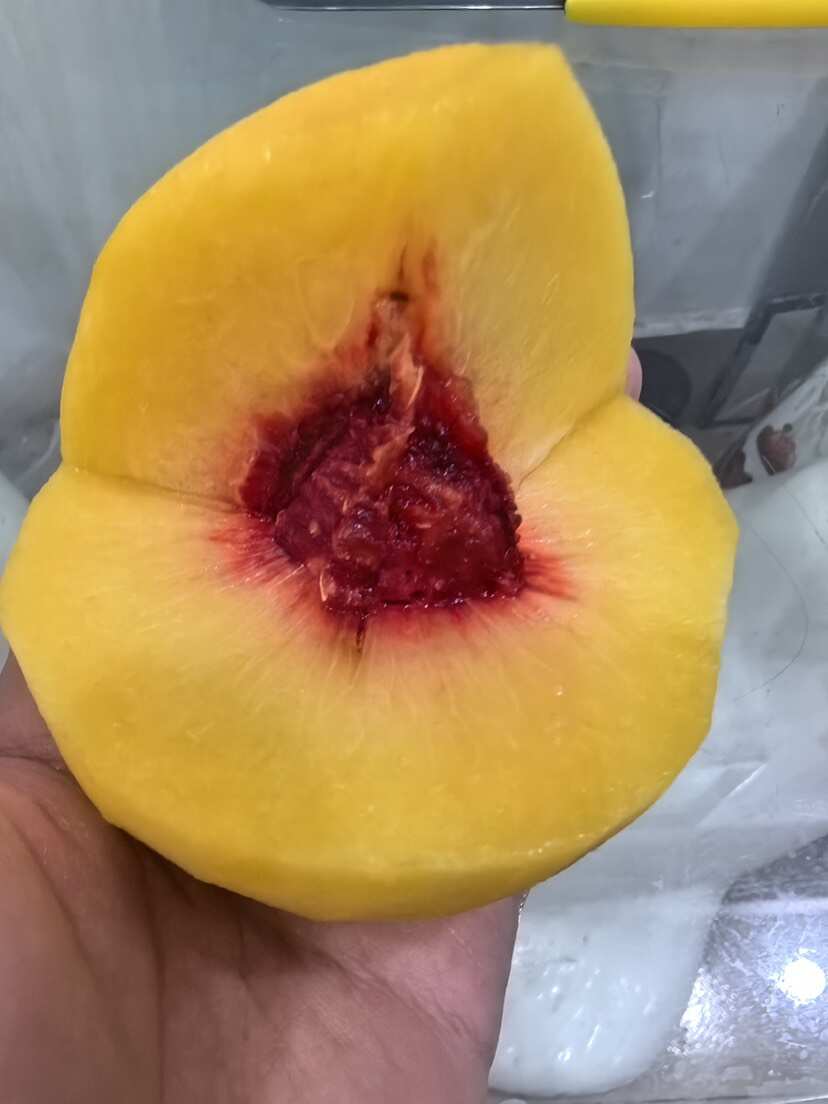 湖南永州双牌锦绣黄桃 新鲜水果核果仁果类 黄桃优质产地直供
