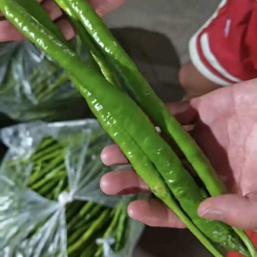 广汉市二荆条厚皮薄皮都有