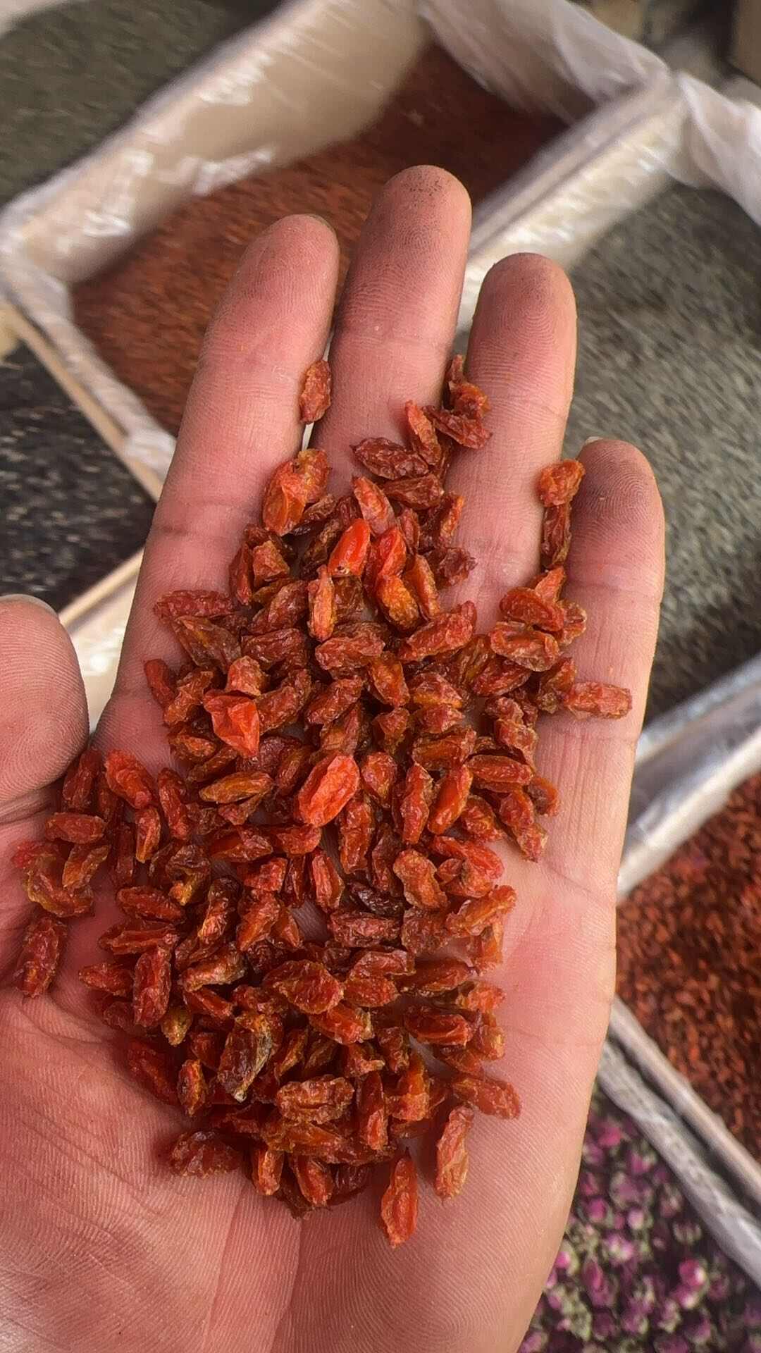 沙棘干果 精品选货 。