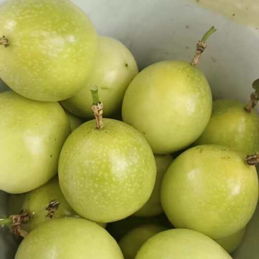郁南县￼自己家的百香果60亩  现摘现发 ￼