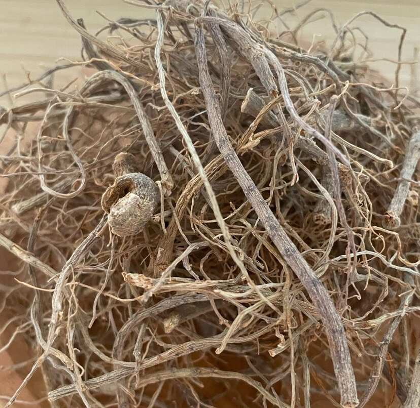 【只做净重】云南文山三七根三七根须田七毛根须煲汤炖汤香料调味