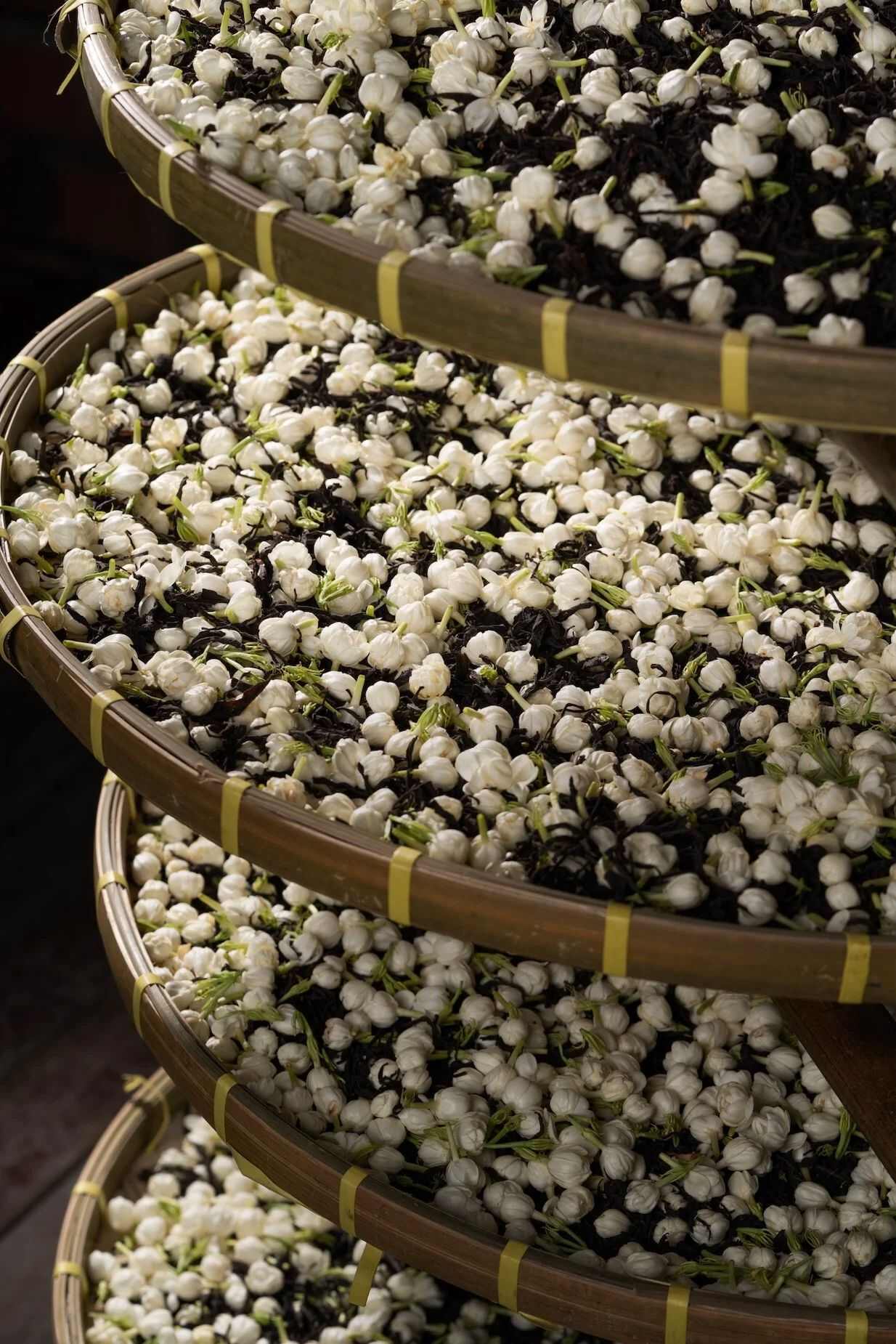 新茶广西横县金花茶叶新茉莉花茶银螺雪芽毛尖毛峰浓香型花茶包邮