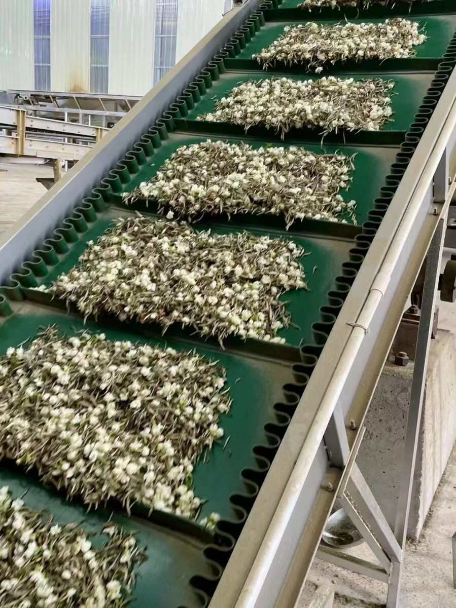 新茶广西横县金花茶叶新茉莉花茶银螺雪芽毛尖毛峰浓香型花茶包邮
