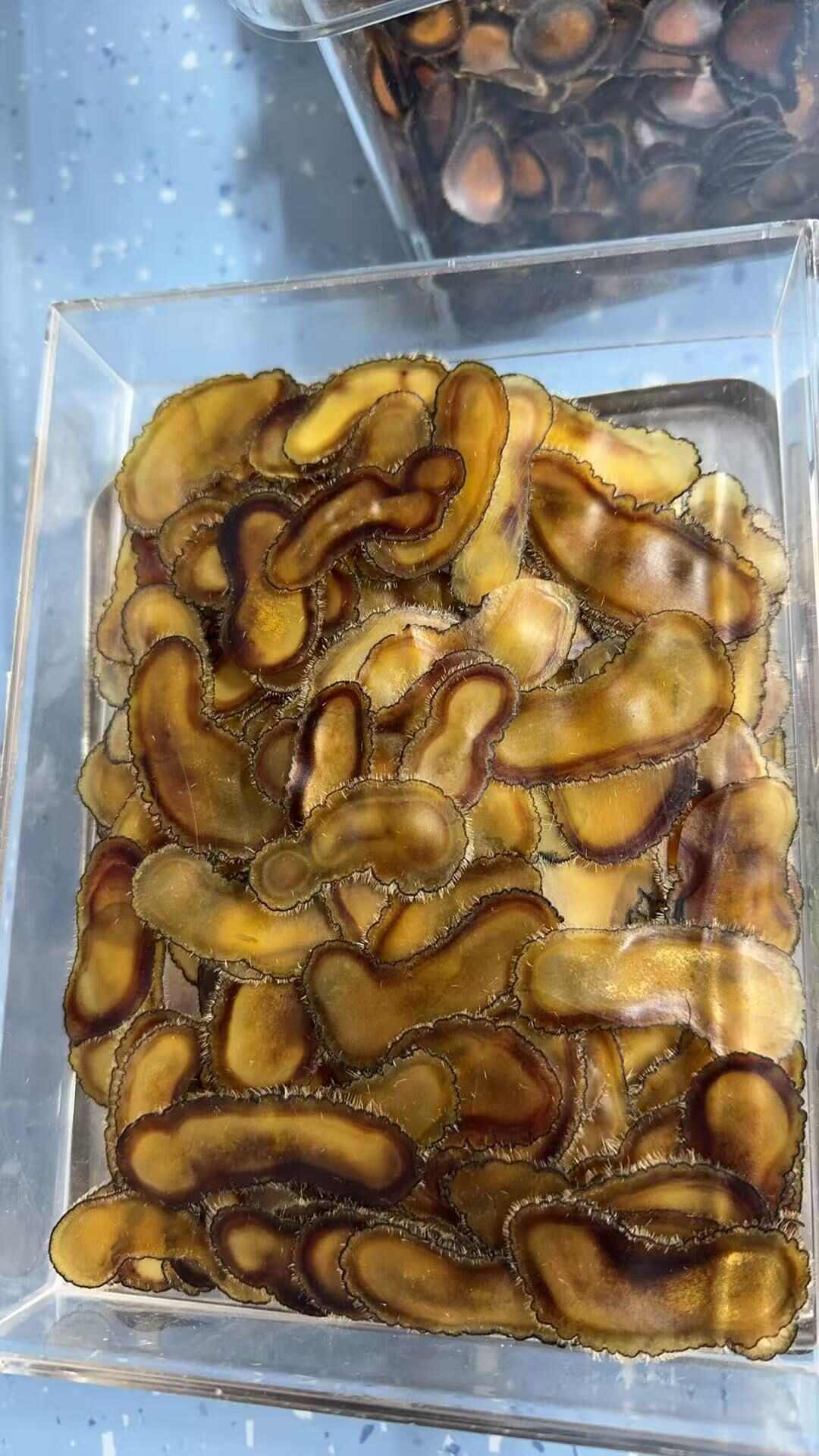 吉林产地批发鹿茸片，粉片，腊片，种类齐全，产地直销，鹿厂直供