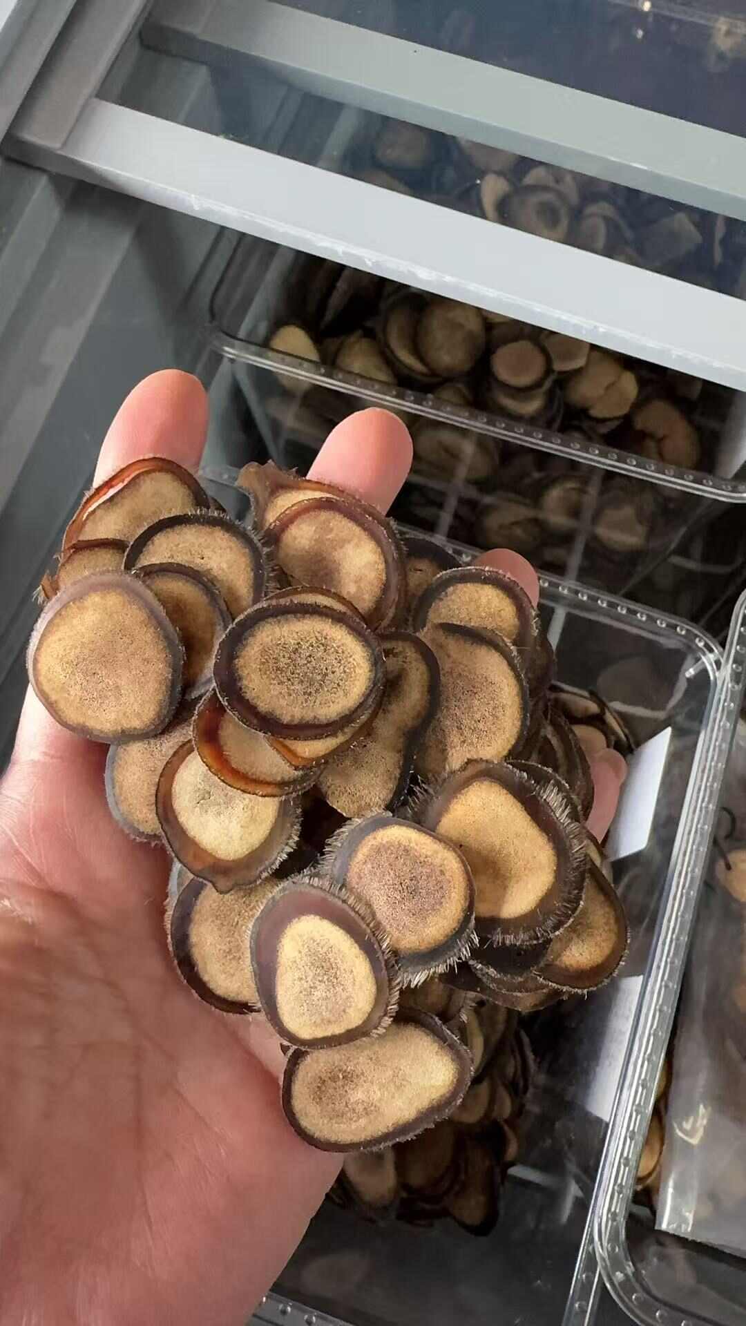 吉林产地批发鹿茸片，粉片，腊片，种类齐全，产地直销，鹿厂直供