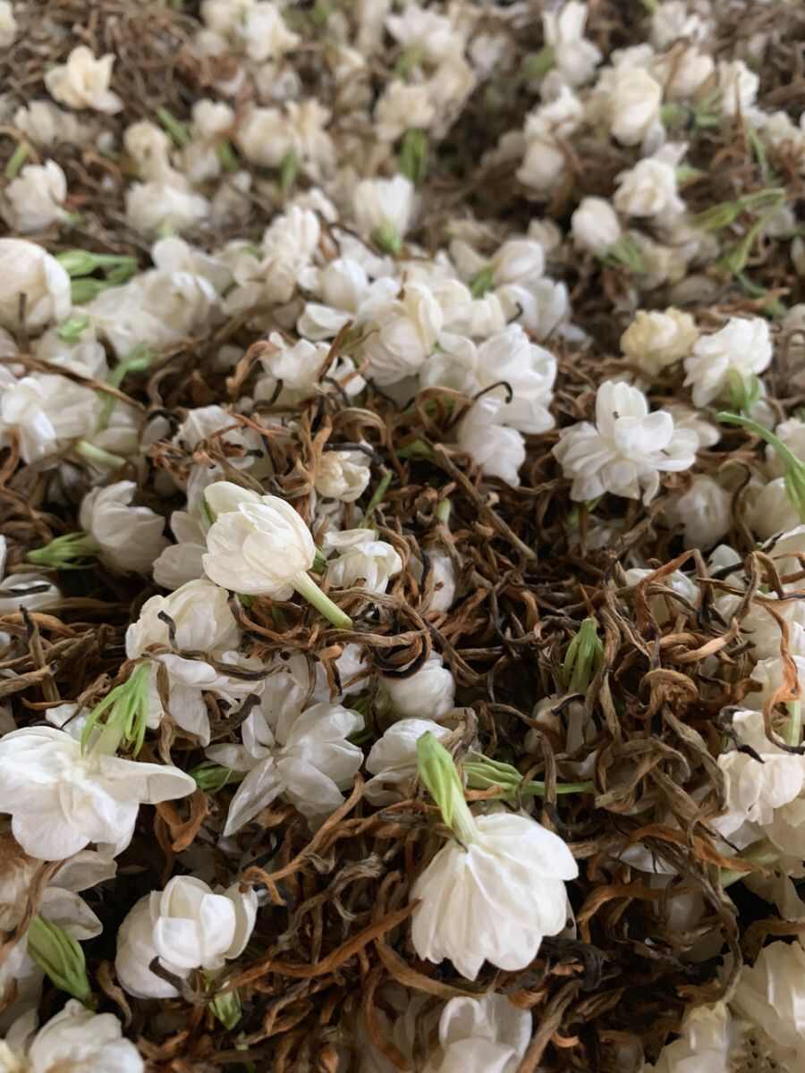 新茶广西横县金花茶叶新茉莉花茶银螺雪芽毛尖毛峰浓香型花茶包邮