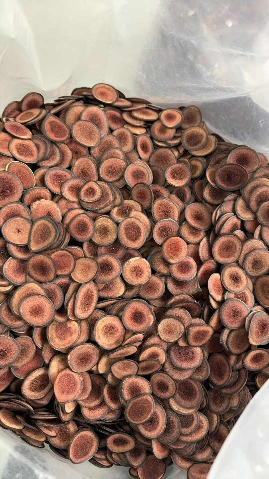 吉林产地批发鹿茸片，粉片，腊片，种类齐全，产地直销，鹿厂直供