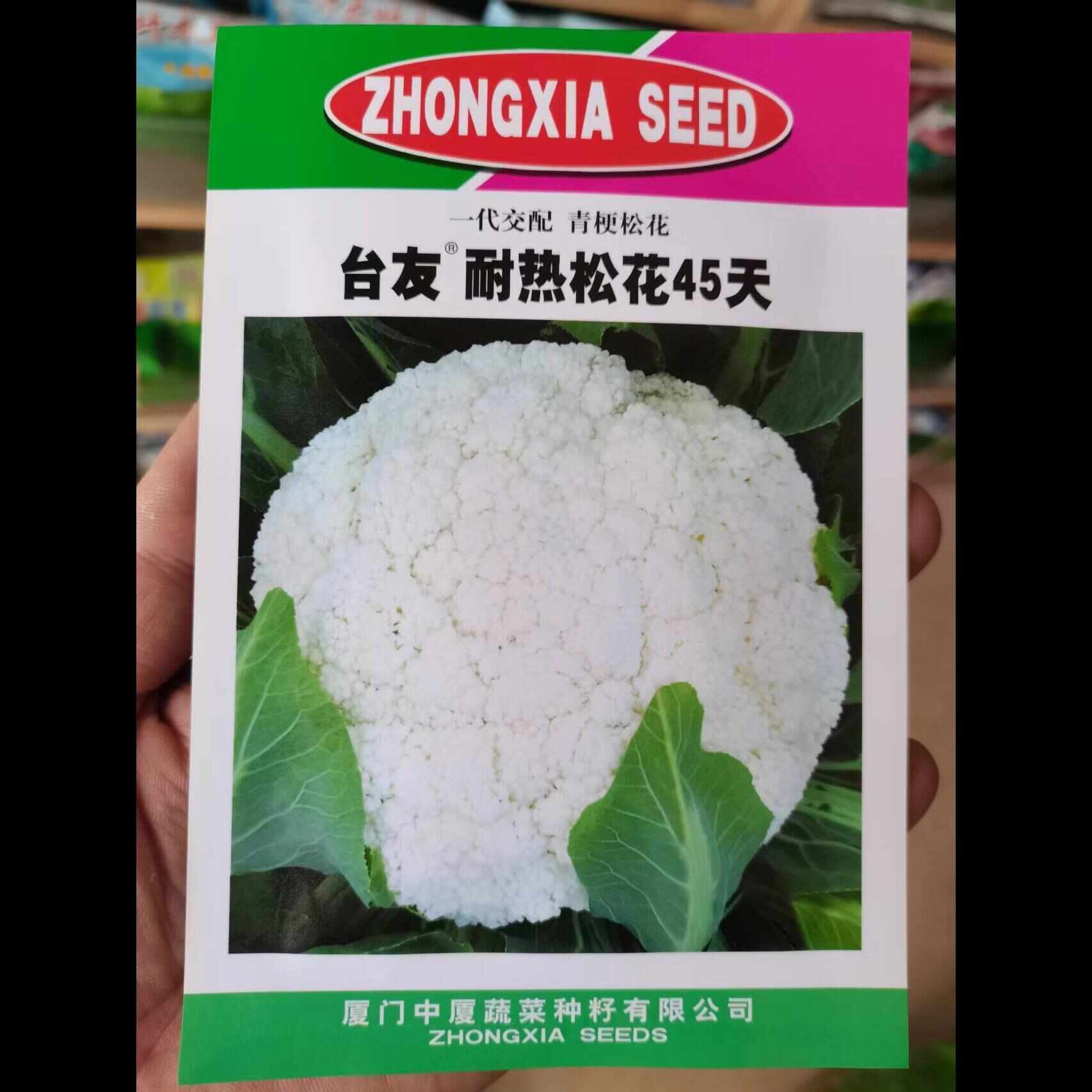 台友耐热松花45天花菜种子花菜 青梗松花菜春夏秋季蔬菜种孑