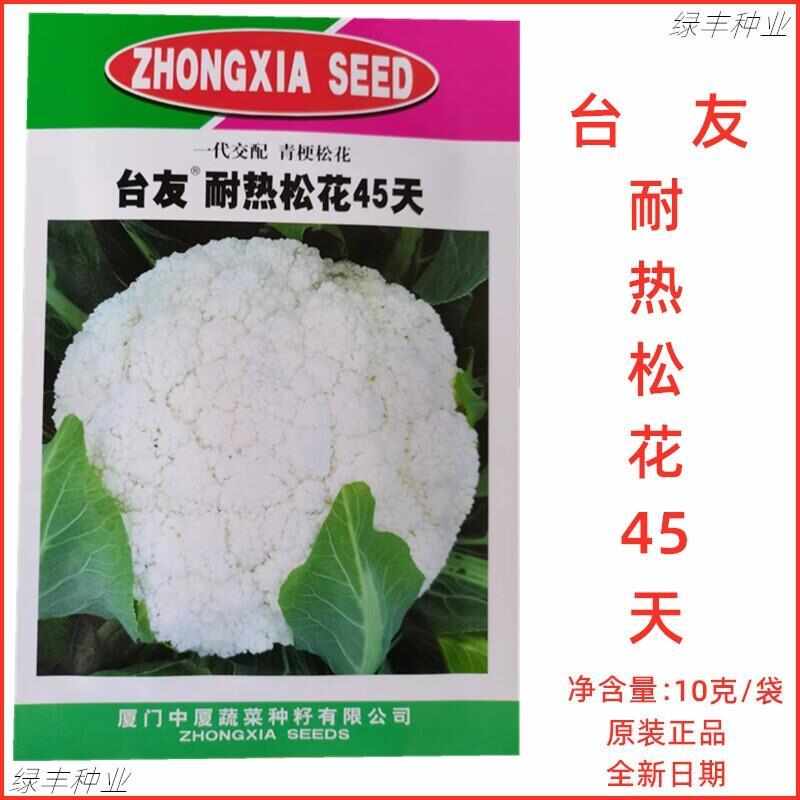 台友耐热松花45天花菜种子花菜 青梗松花菜春夏秋季蔬菜种孑