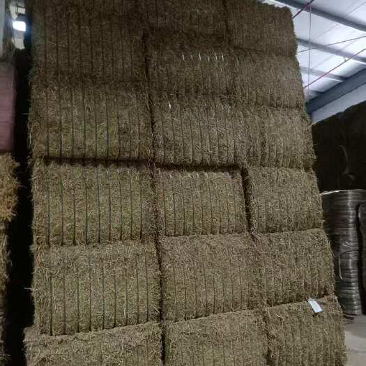 宁波西班牙苜蓿草 天津港青岛港宁波港南沙港 蛋白18RFV150