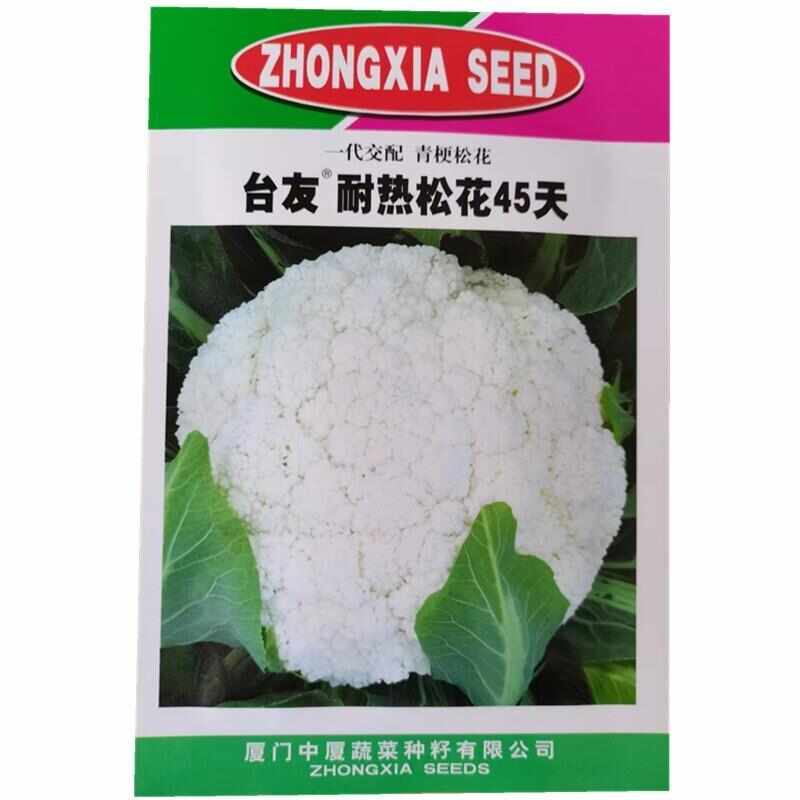台友耐热松花45天花菜种子花菜 青梗松花菜春夏秋季蔬菜种孑