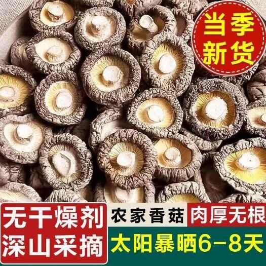 武汉新货干香菇干货500g散装商用农家小香茹天然菌菇蘑菇冬菇花菇