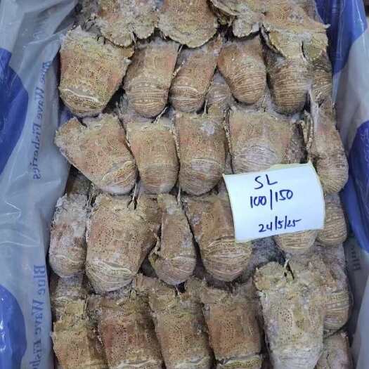 佛山阿曼琵琶虾九齿扇虾佛山现货规格全新鲜日期 量不多