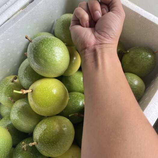 金平县云南金平黄金百香果 新鲜水果浆果类 产地直发