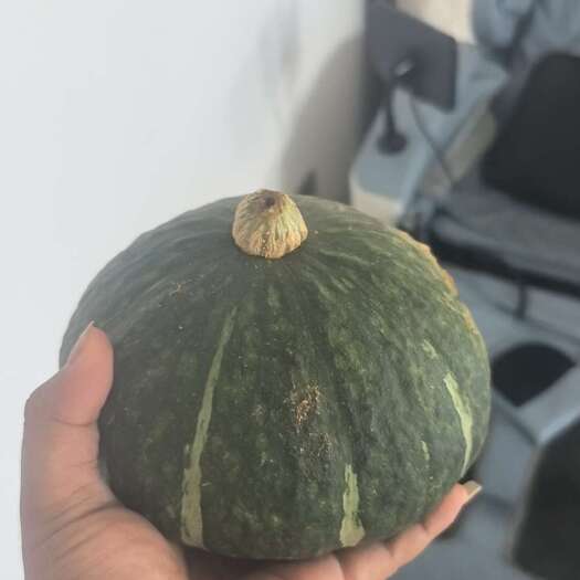 分宜县贝贝南瓜新鲜板栗味粉糯香甜宝宝辅食正宗老南瓜小南瓜孕妇代餐