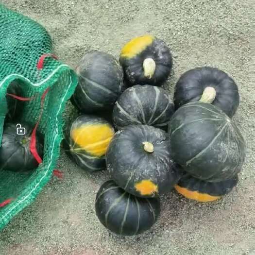 呼和浩特内蒙精品贝贝南瓜产地大量供应对接电商团购批发市场糖度高老度高