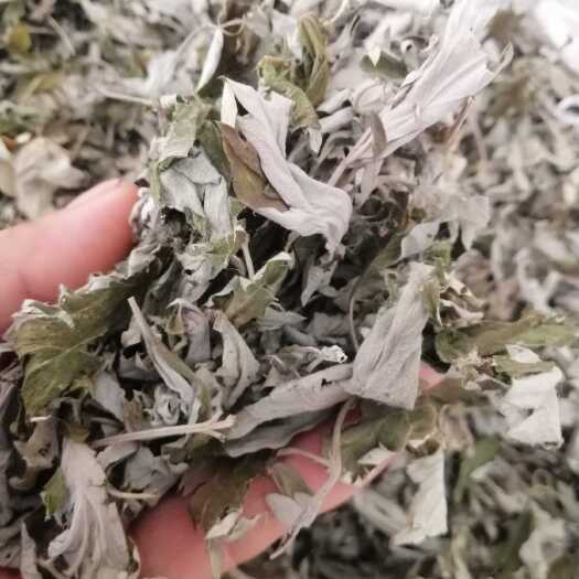 随县艾叶不带杆净叶大叶蕲艾湖北艾草薰蚊虫打艾绒做艾灸煮水泡浴