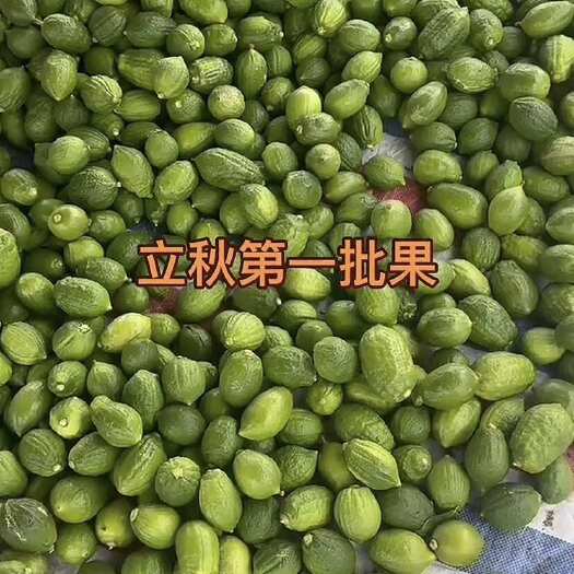 广州广东香水柠檬