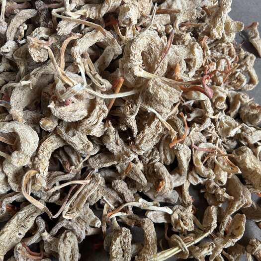 春天麻炖汤煲汤主推产地直销