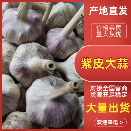 红皮蒜 山东省滨州市惠民县 混级统货 新蒜 库外蒜 干蒜