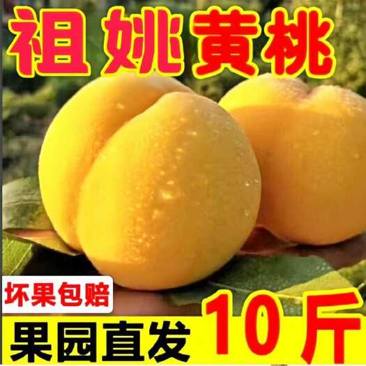 泗洪县祖姚黄桃应季水果整箱发货一整箱