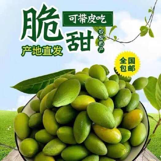 普宁市甜橄榄 二号甜橄榄 脆甜