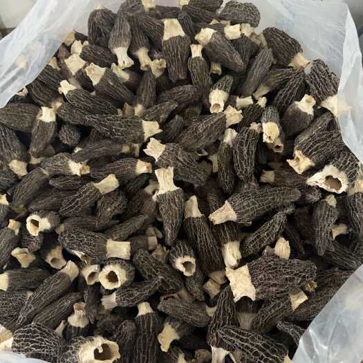 金堂县羊肚菌