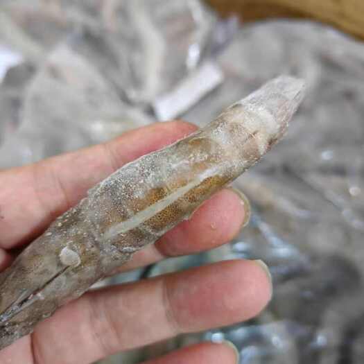 50/60规格开背虾 养殖虾 南美白对虾