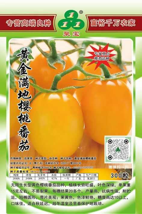 广州黄金满地樱桃番茄种子