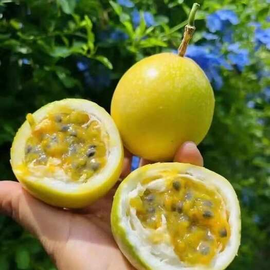 连城县百香果