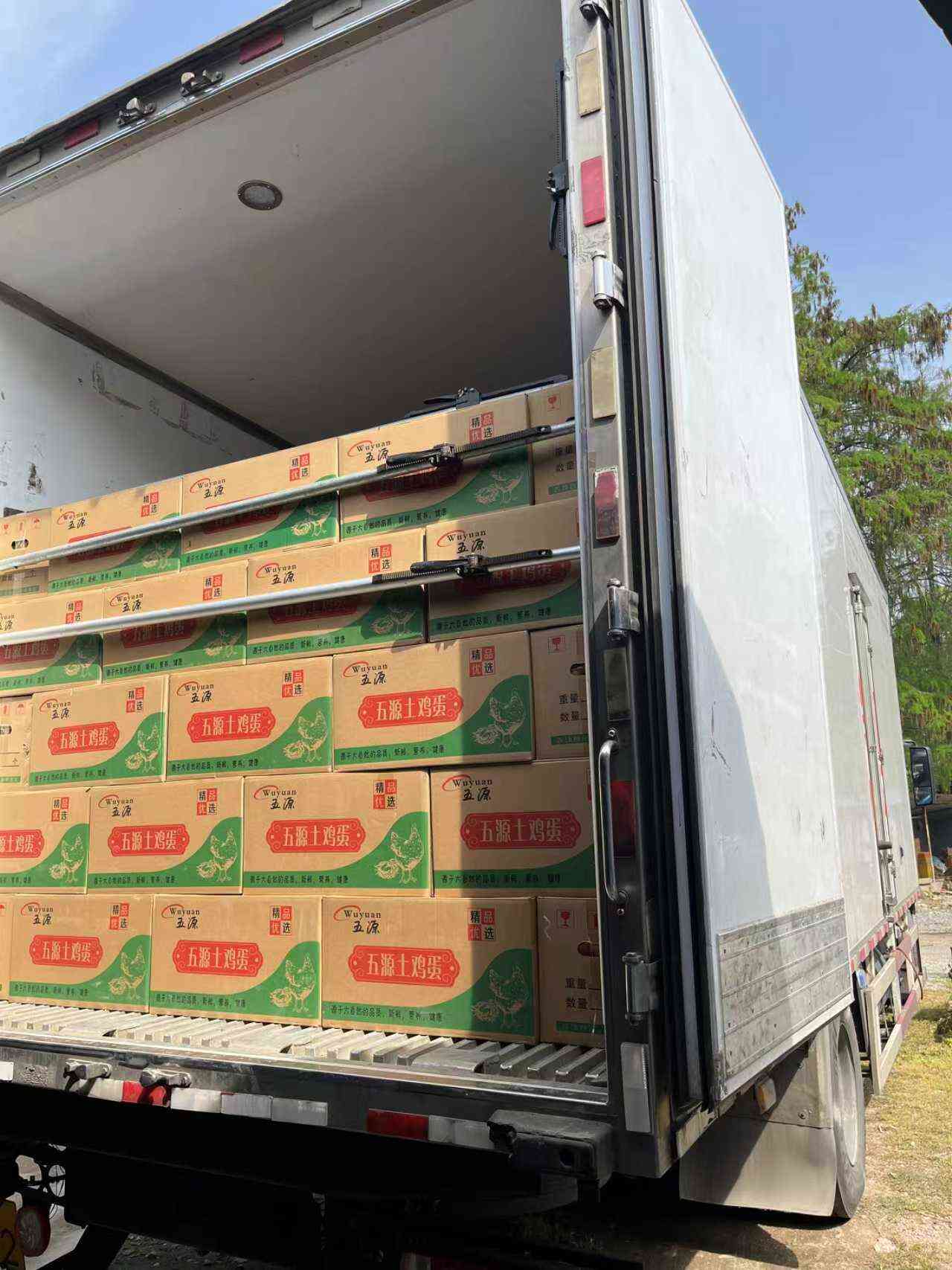 180-360枚京山散养土鸡蛋基地直供，现捡现发