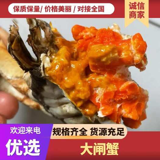 大闸蟹阳澄湖镇大闸蟹批发大闸蟹礼盒装，中秋送礼、团购一手货源