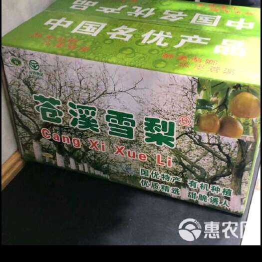 苍溪县雪梨