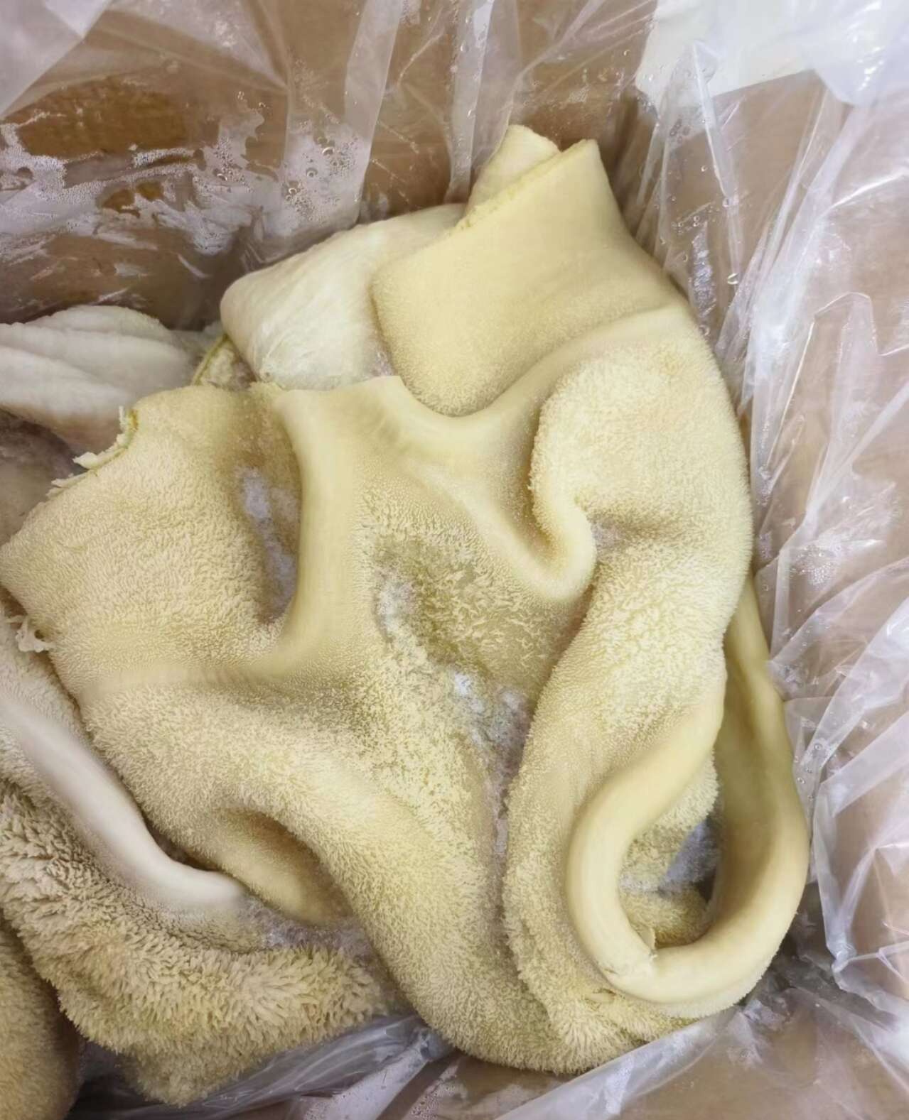 牛肚 可爆炒 凉拌