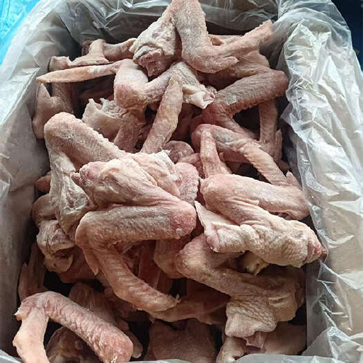 宁明县鸭全翅