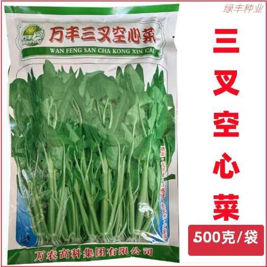 万农万丰三叉空心菜种子梗淡青叶长春夏秋可播大叶空心菜种