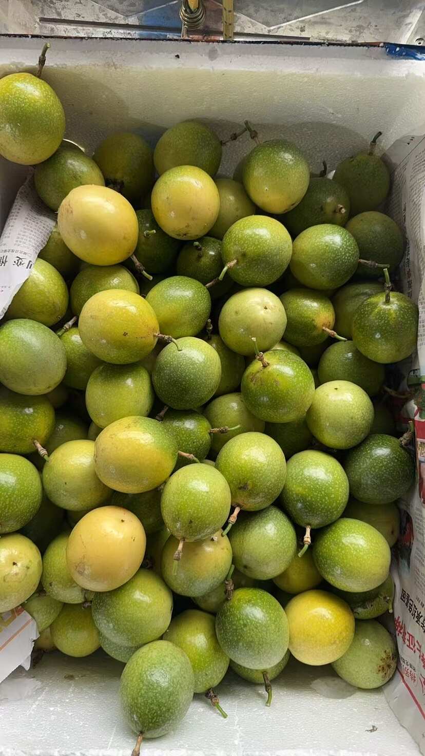 ￼ 可一件代发！广西海南钦蜜9号黄金百香果