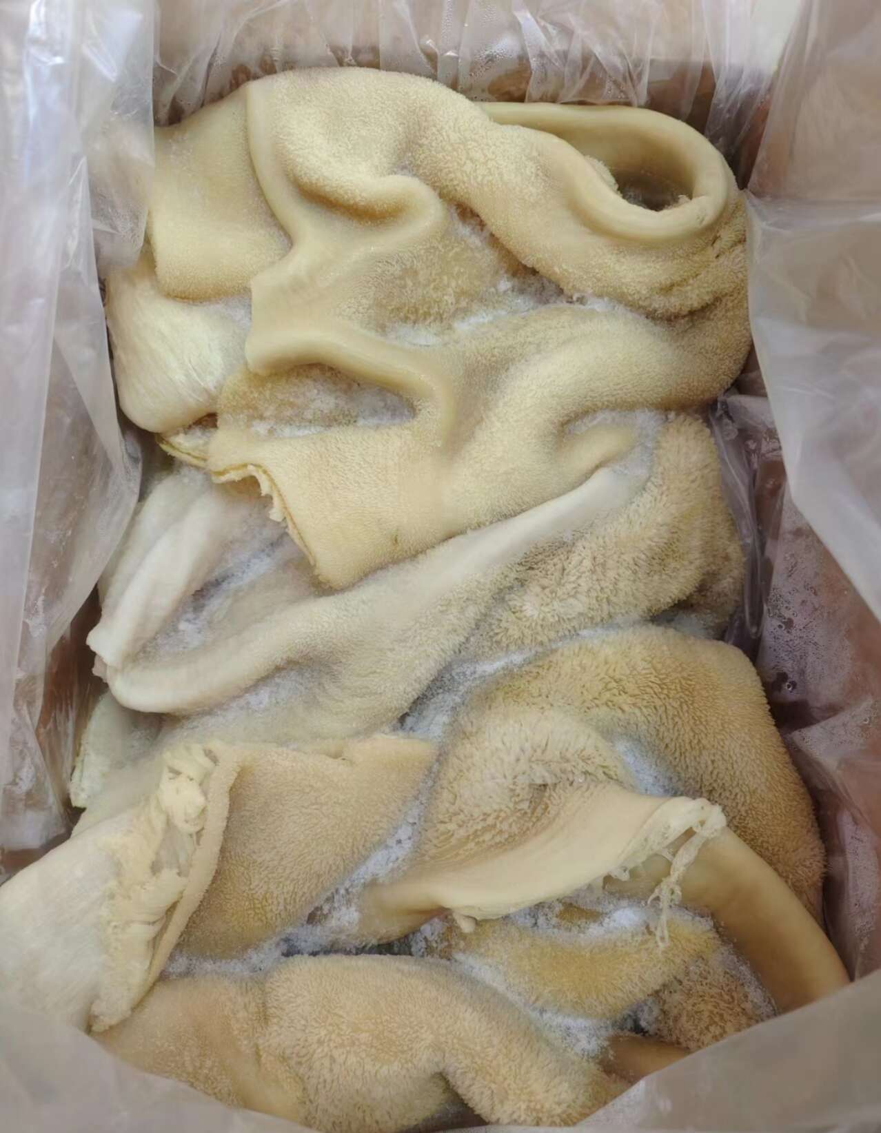牛肚 可爆炒 凉拌
