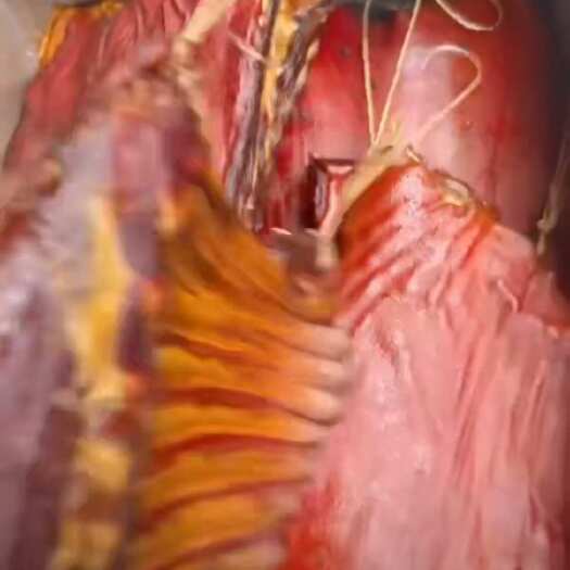 成都中方排骨腊肉