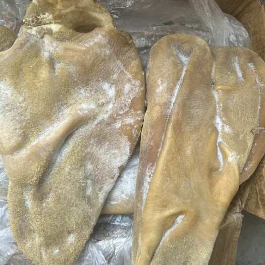 阳信县纯干熟牛肚，熟度高，里子干净，无碱发，无冰，出成高。
