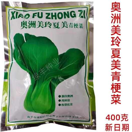 三明澳洲美玲夏美青梗菜种子小白菜花瓶菜上海青良种春夏秋季蔬菜种孑