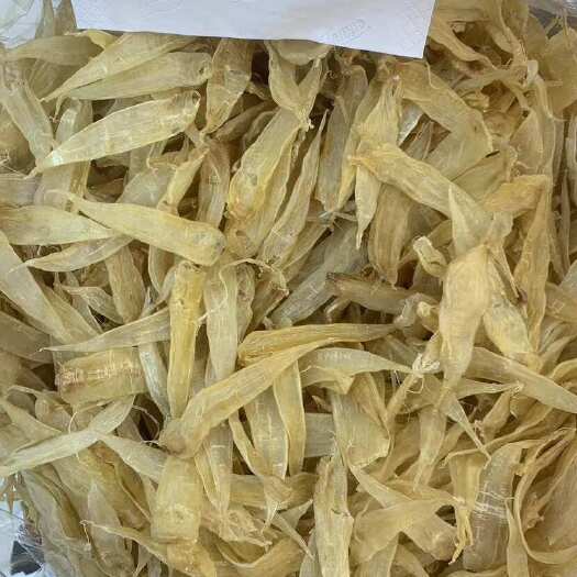 鱼胶花胶 豆仁胶黄花胶大量批发