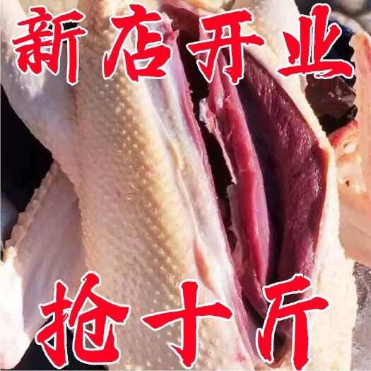 郑州新鲜鹅肉非大白鹅超大10斤大鹅散养非老鹅整只鹅雁鹅瘦肉池雁
